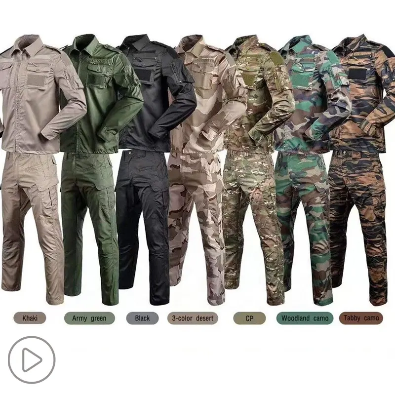 Golden Eagle Set
