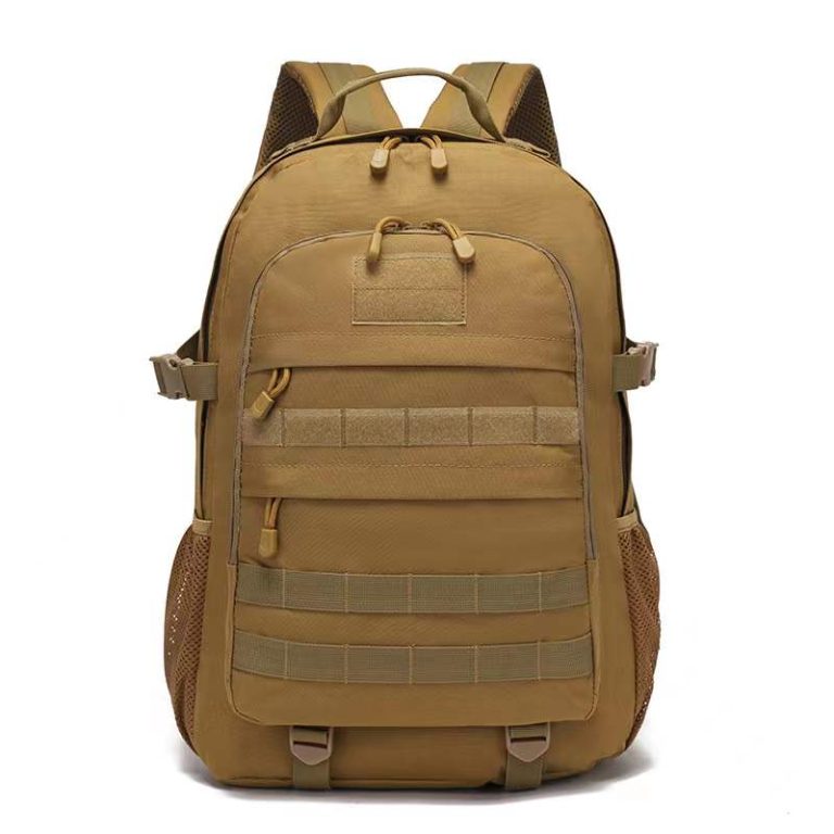 Backpack, bag